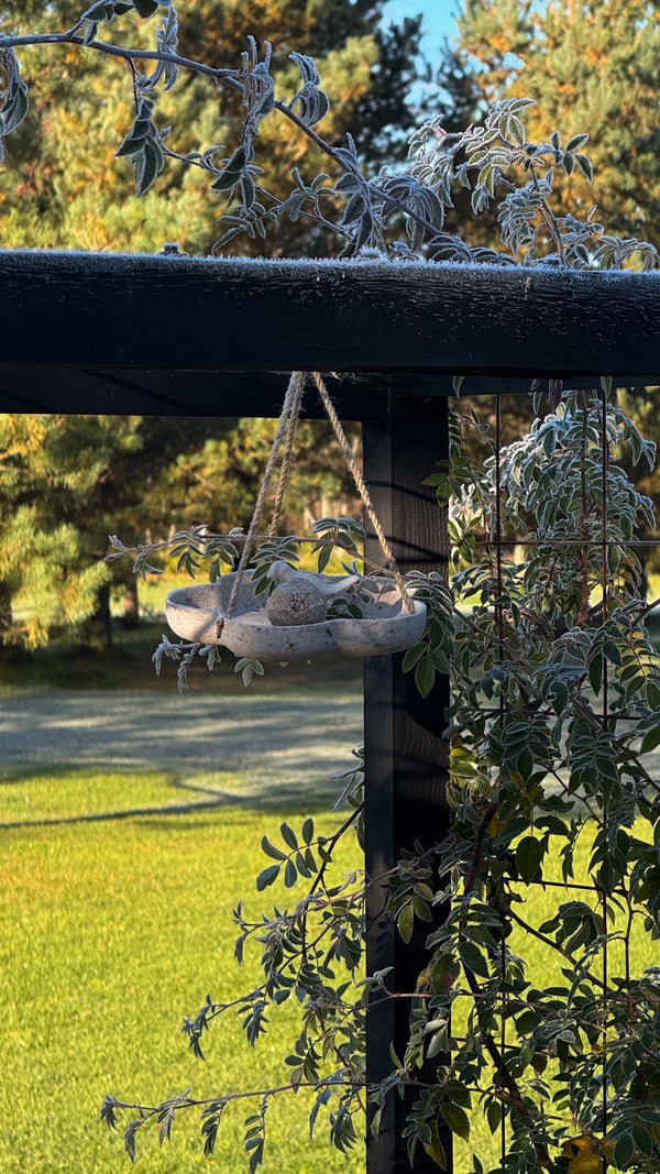 Elegant Bird feeder