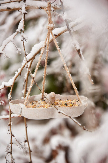 Elegant Bird feeder